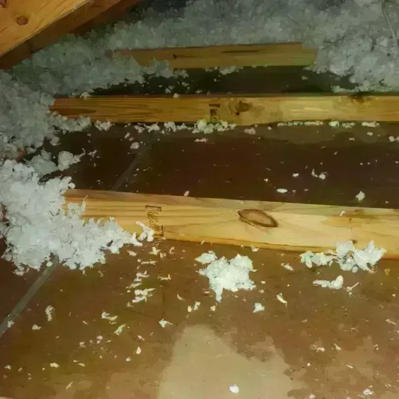 Attic Water Damage in Covington, WA