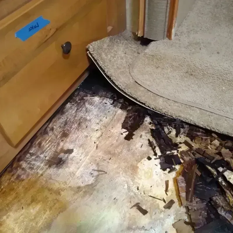 Wood Floor Water Damage in Covington, WA